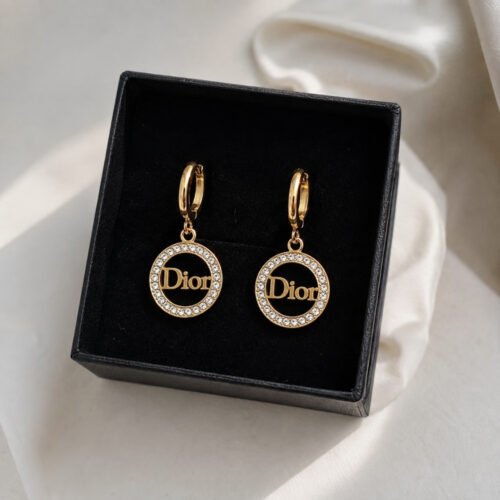 Stainless Steel Brand Inspired Earrings
